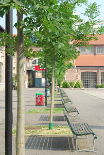 Photo by Zaira Sessa