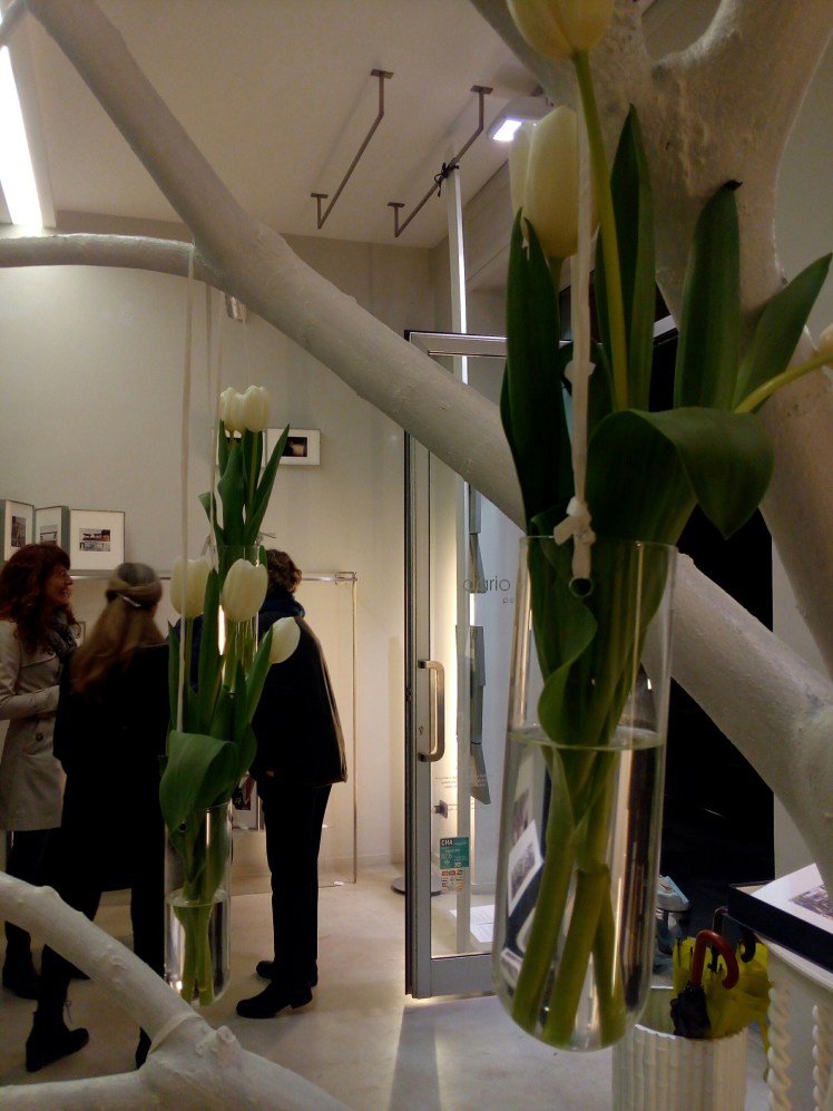 IMG_20160401_204835.jpg image