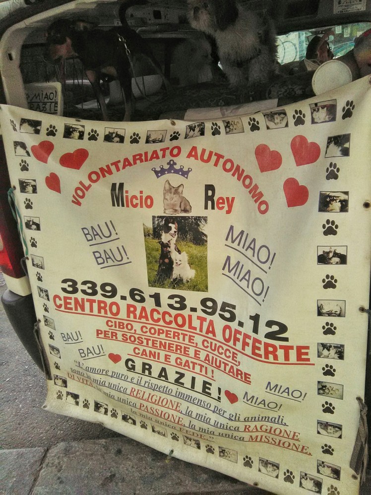 wp-1474652347897 image